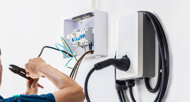 Best Electric Panel Repair  in Lake Cherokee, TX